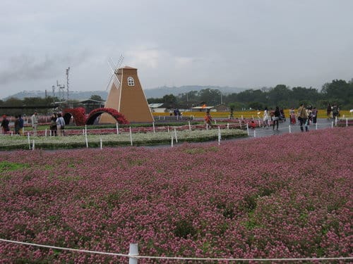 2012 新社花海台中國際花毯節 七彩花毯…美美美 (上)