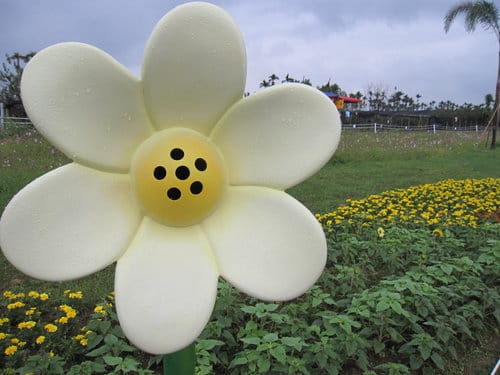 2012 新社花海台中國際花毯節 七彩花毯…美美美 (上)