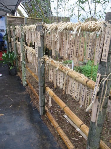 2012 新社花海台中國際花毯節 七彩花毯…美美美 (上)