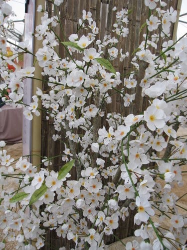 2012 新社花海台中國際花毯節 七彩花毯…美美美 (上)