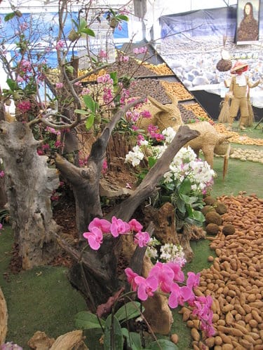 2012 新社花海台中國際花毯節 七彩花毯…美美美 (上)