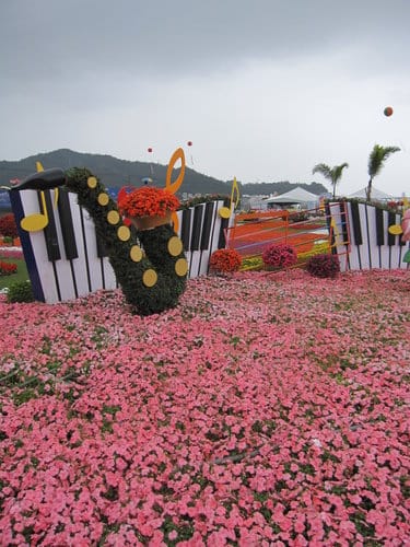 2012 新社花海台中國際花毯節 七彩花毯…美美美 (上)