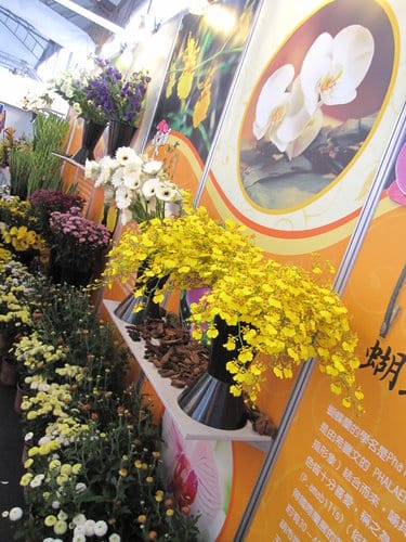 2012 新社花海台中國際花毯節 七彩花毯…美美美 (上)
