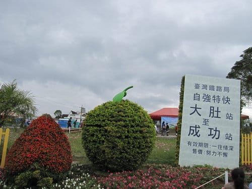 2012 新社花海台中國際花毯節 七彩花毯…美美美 (上)