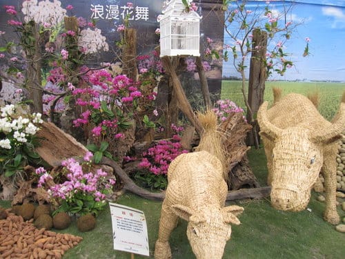 2012 新社花海台中國際花毯節 七彩花毯…美美美 (上)