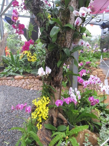 2012 新社花海台中國際花毯節 七彩花毯…美美美 (上)