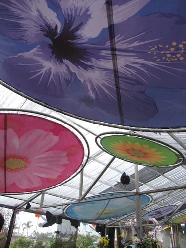 2012 新社花海台中國際花毯節 七彩花毯…美美美 (上)