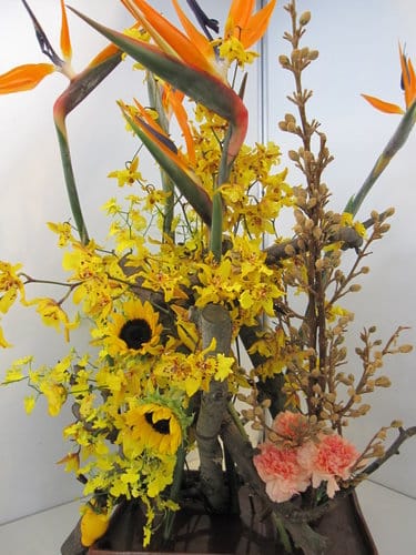 2012 新社花海台中國際花毯節 七彩花毯…美美美 (上)