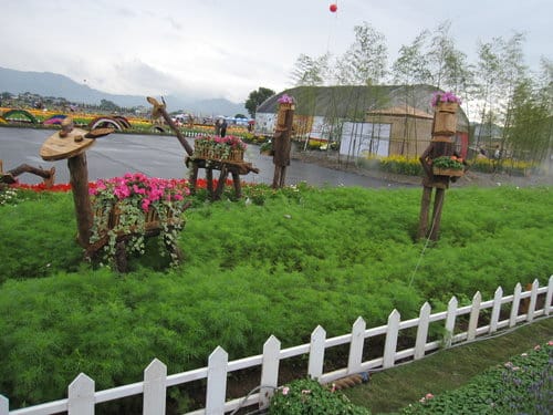 2012 新社花海台中國際花毯節 七彩花毯…美美美 (上)