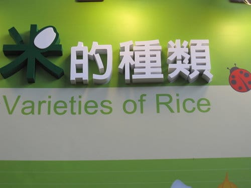 2012 新社花海台中國際花毯節 七彩花毯…美美美 (上)