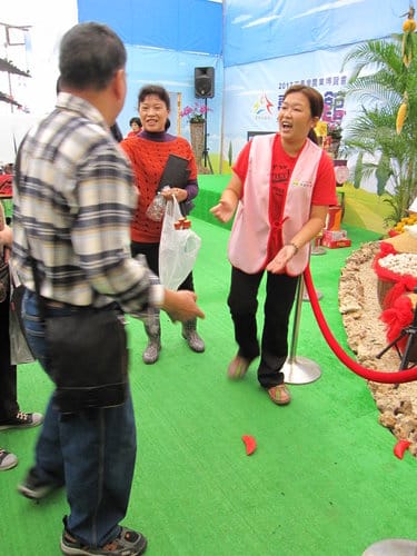 2012 新社花海台中國際花毯節 七彩花毯…美美美 (上)
