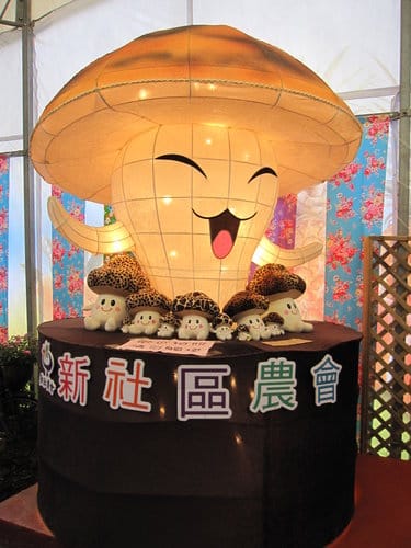 2012 新社花海台中國際花毯節 七彩花毯…美美美 (上)