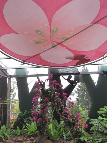 2012 新社花海台中國際花毯節 七彩花毯…美美美 (上)