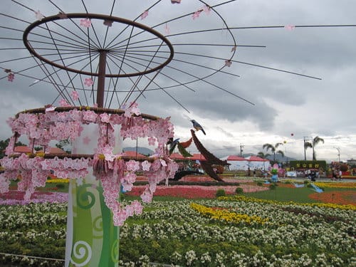 2012 新社花海台中國際花毯節 七彩花毯…美美美 (上)