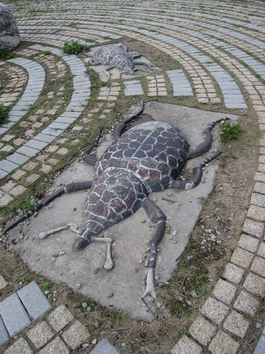 親子休閒遊憩的好去處台中都會公園