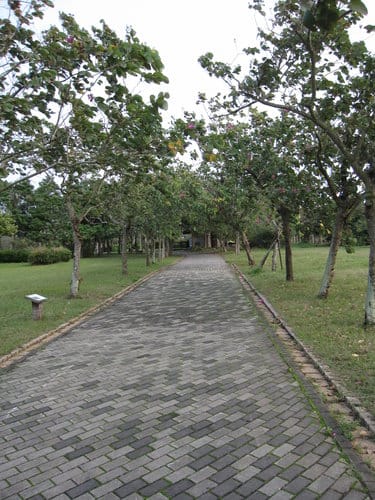 親子休閒遊憩的好去處台中都會公園