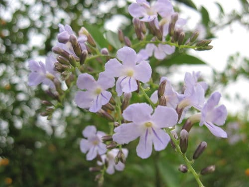 親子休閒遊憩的好去處台中都會公園