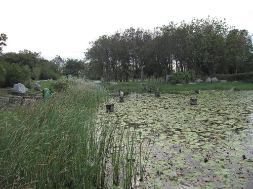 親子休閒遊憩的好去處台中都會公園