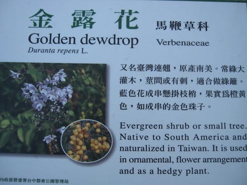 親子休閒遊憩的好去處台中都會公園