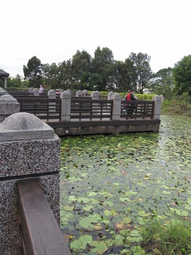 親子休閒遊憩的好去處台中都會公園
