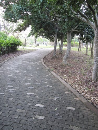 親子休閒遊憩的好去處台中都會公園