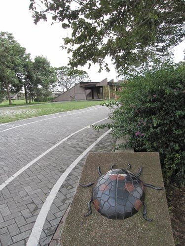 親子休閒遊憩的好去處台中都會公園
