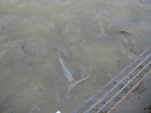 親子休閒遊憩的好去處台中都會公園