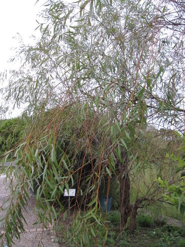 親子休閒遊憩的好去處台中都會公園