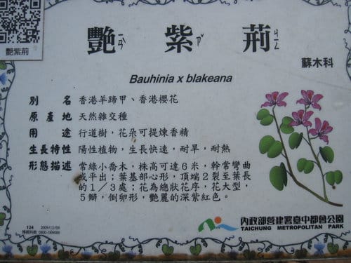 親子休閒遊憩的好去處台中都會公園