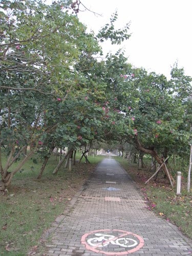 親子休閒遊憩的好去處台中都會公園