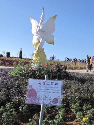 2012南投花卉嘉年華 賞花去 2012.12/162013.1/20止