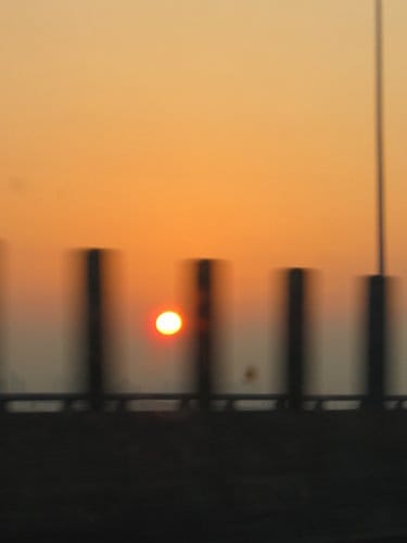 2012南投花卉嘉年華 賞花去 2012.12/162013.1/20止