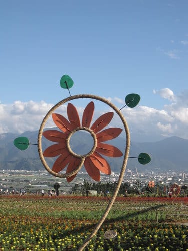 2012南投花卉嘉年華 賞花去 2012.12/162013.1/20止