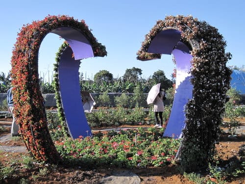 2012南投花卉嘉年華 賞花去 2012.12/162013.1/20止