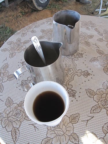 2012南投花卉嘉年華 賞花去 2012.12/162013.1/20止