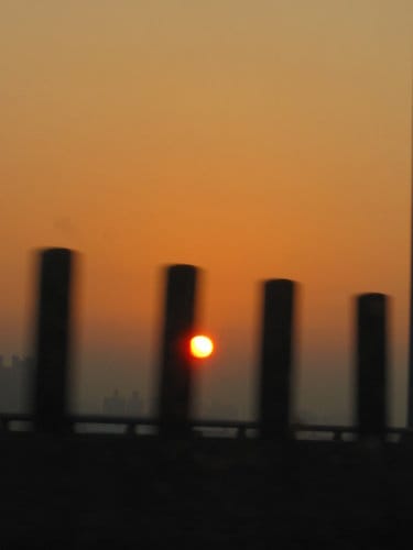 2012南投花卉嘉年華 賞花去 2012.12/162013.1/20止