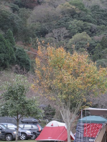 參觀露營區 春陽瑪莉溫泉露營區太魯灣溫泉露營區 - 第19張圖 參觀露營區 春陽瑪莉溫泉露營區太魯灣溫泉露營區