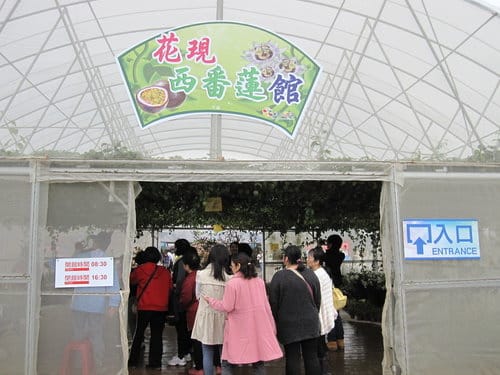 2012 新社花海台中國際花毯節 七彩花毯…美美美 (下)