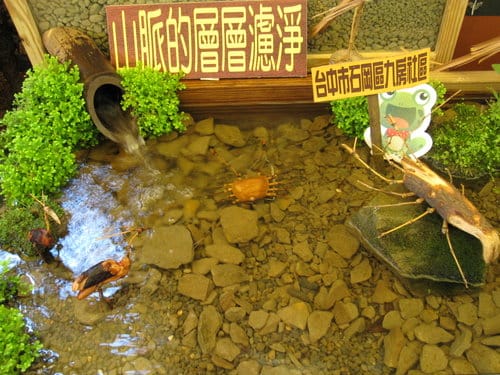 2012 新社花海台中國際花毯節 七彩花毯…美美美 (下)