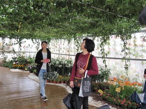 2012 新社花海台中國際花毯節 七彩花毯…美美美 (下)