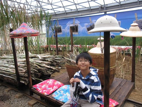 2012 新社花海台中國際花毯節 七彩花毯…美美美 (下)