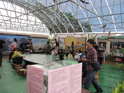 2012 新社花海台中國際花毯節 七彩花毯…美美美 (下)