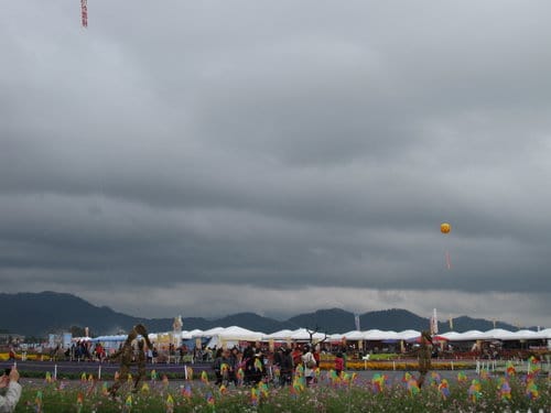 2012 新社花海台中國際花毯節 七彩花毯…美美美 (下)
