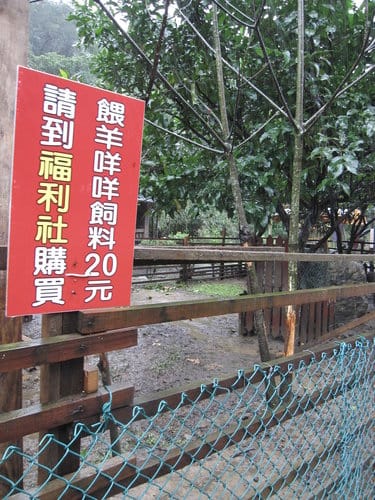 平溪線鐵路十分火車站台灣的尼加拉大瀑布.十分瀑布 - 第45張圖 平溪線鐵路十分火車站台灣的尼加拉大瀑布.十分瀑布