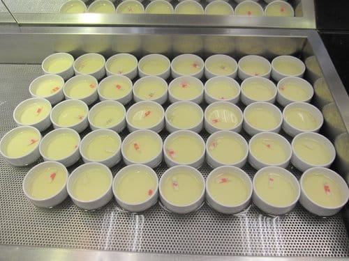 [台中吃到飽餐廳]台中牛排館元太祖蒙古烤肉中科店