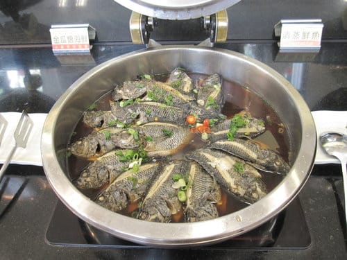 [台中吃到飽餐廳]台中牛排館元太祖蒙古烤肉中科店