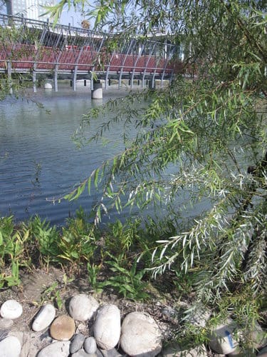 白天的秋紅谷景觀公園