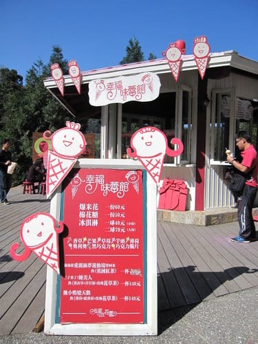 台中/新社景觀餐廳『安妮公主花園』浪漫氛圍拍照景點