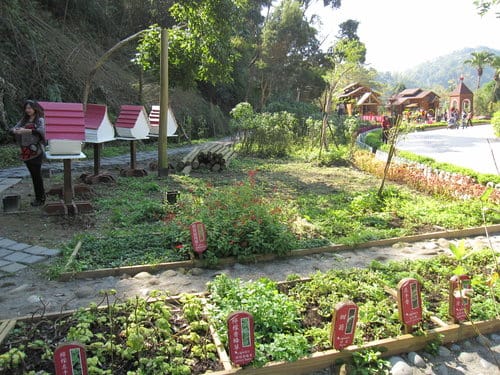 台中/新社景觀餐廳『安妮公主花園』浪漫氛圍拍照景點