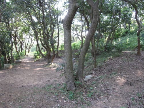四方牧場(參觀)露營區